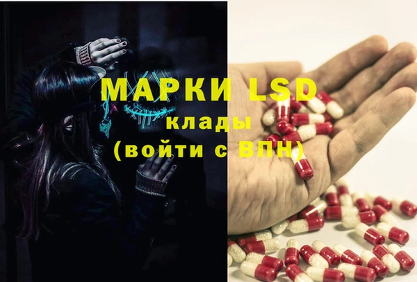 гидропоника Алексеевка