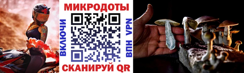Псилоцибиновые грибы Magic Shrooms где можно купить наркотик Гдов